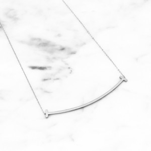 ステンレス ネックレス (184) 銀色 ネックレス  金属アレルギー対応 レディース メンズ 送料無料 シルバー サージカル  ニッケルフリー