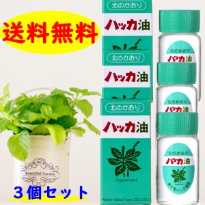 ハッカ油  ボトル　２０ｍｌ×3本セット  送料無料 マスク スプレー 風邪 花粉 マスク  肩こり 入浴剤 はっか 北海道 北見 ハッカ 通商 