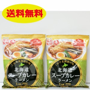 【お試し価格】これぞ北海道の味！北海道スープカレーラーメン２袋入り【送料無料】