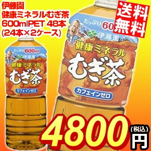 【期間限定特価】【送料無料】伊藤園 健康ミネラルむぎ茶 600mlペットボトル 48本(24本×2ケース)[ミネラル麦茶]big_dr