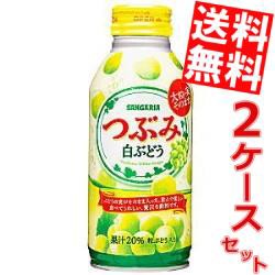 【送料無料】サンガリア つぶみ白ぶどう 380gボトル缶 48本(24本×2ケース)big_dr