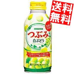 【送料無料】サンガリア つぶみ白ぶどう 380gボトル缶 24本入big_dr