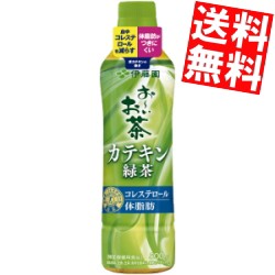 伊藤園 おーいお茶 カテキン緑茶 500mlペットボトル 24本入 スマプレ 二つの働き 特保 トクホ 特定保健用食品 500mlPET【賞味期限2024年8