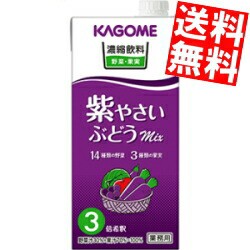 【送料無料】カゴメ 濃縮飲料 紫やさい・ぶどうミックス 3倍濃縮タイプ 1000ml紙パック 12本 (6本×2ケース)