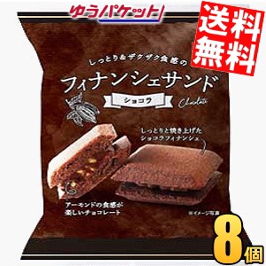 ゆうパケット送料無料 井桁堂 フィナンシェサンドショコラ 8個入 洋菓子 スイーツ