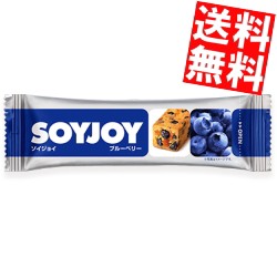 【送料無料】大塚製薬 ＳＯＹＪＯＹ（ソイジョイ） ブルーベリー 12本入[のしOK]big_dr