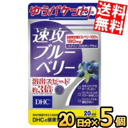 ゆうパケット送料無料 DHC 20日分 速攻ブルーベリー 5袋 (サプリメント)