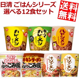 【送料無料】 日清 ごはんシリーズ選べる12食(6食×2ケース)[キーマカレーメシ カップヌードルぶっこみ飯 チキンラーメン ]