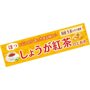 【送料無料】ライオン 10粒しょうが紅茶のど飴 10入