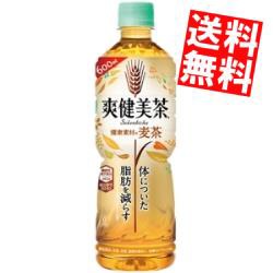 【送料無料】コカコーラ 爽健美茶 健康素材の麦茶 600mlペットボトル 24本入(機能性表示食品)big_dr