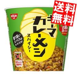 【送料無料】日清 105gキーマカレーメシ スパイシー 6食入[のしOK]big_dr