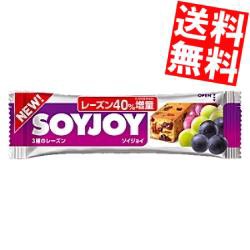 【送料無料】大塚製薬 ＳＯＹＪＯＹ（ソイジョイ） 3種のレーズン 12本入[のしOK]big_dr