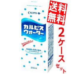 【送料無料】カルピス カルピスウォーター 250ml紙パック 48本 (24本×2ケース)[のしOK]big_dr