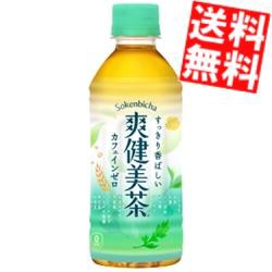 【送料無料】コカ・コーラ 爽健美茶 すっきりブレンド 300mlペットボトル 48本 (24本×2ケース) [コカコーラ][のしOK]big_dr