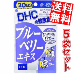 【送料無料5袋セット】DHC 100日分 ブルーベリーエキス (20日分×5袋)[のしOK]big_dr