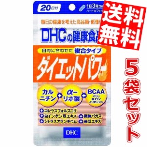 【送料無料5袋セット】DHC 100日分（300粒）ダイエットパワー (20日分×5袋)