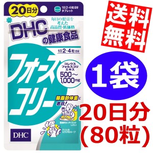 【送料無料】DHCフォースコリー 20日分（80粒）×1袋 スマプレ ダイエット食品 のしOK big_dr