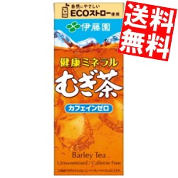 伊藤園 健康ミネラルむぎ茶 250ml紙パック 48本(24本×2ケース) 〔ミネラル麦茶〕[スマプレ]big_dr