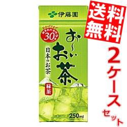 【送料無料】伊藤園お〜いお茶 緑茶250ml紙パック 48本(24本×2ケース)[のしOK]big_dr