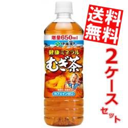 【送料無料】伊藤園健康ミネラルむぎ茶650mlPET 48本(24本×2ケース) 〔ミネラル麦茶〕[のしOK]big_dr