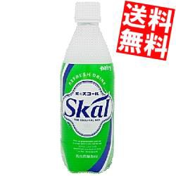 【送料無料】南日本酪農協同(株) スコールホワイト 500mlペットボトル 24本入[のしOK]big_dr