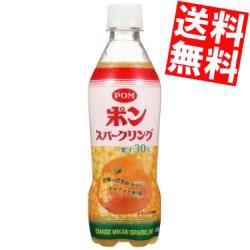 【送料無料】えひめ飲料 POM ポンスパークリング 410mlペットボトル 48本 (24本×2ケース)