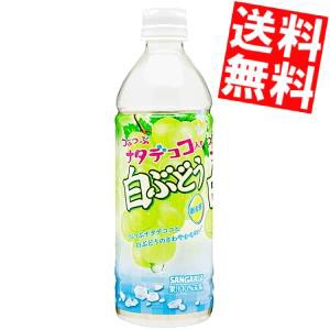 【送料無料】サンガリア つぶつぶナタデココ入り白ぶどう 500mlペットボトル 24本入[のしOK]big_dr