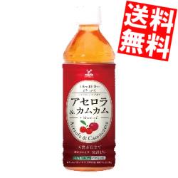 お茶 500ml 24本 激安の通販 Au Pay マーケット