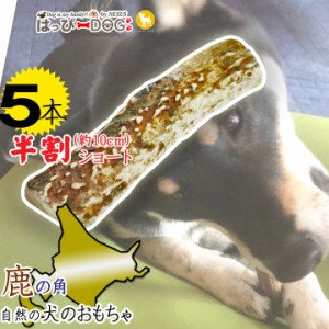 【5本セット】鹿の角 半割 北海道 鹿角 犬のおやつ 犬 おもちゃ 犬用 噛む 歯磨き おやつ ドッグガム デンタルケア デンタル効果 蝦夷鹿