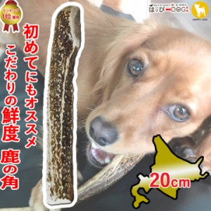 鹿の角 犬のおもちゃ 半割 北海道 鹿角 犬 おもちゃ 犬用 噛む 歯磨き おやつ ドッグガム デンタルケア デンタル効果 口臭対策 無添加 壊