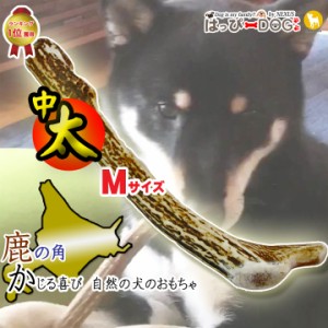 鹿の角 犬のおもちゃ Mサイズ 北海道 鹿角 犬のおやつ 犬 おもちゃ 犬用 噛む 歯磨き おやつ ドッグガム デンタルケア デンタル効果 蝦夷