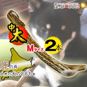 【2本セット】鹿の角 Mサイズ 北海道 鹿角 犬のおやつ 犬 おもちゃ 犬用 噛む 歯磨き おやつ ドッグガム デンタルケア デンタル効果 蝦夷