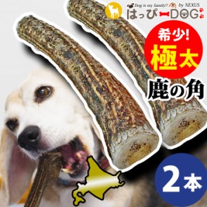 【お買い得2本セット】鹿の角 鹿 角 XLサイズ 大型犬 北海道 国産 鹿角 犬のおもちゃ 犬のおやつ 犬 いぬ イヌ 犬用 噛む おもちゃ おや