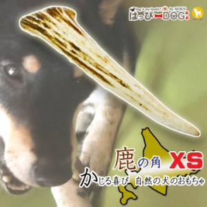 鹿の角 犬のおもちゃ XSサイズ 北海道 鹿角 犬のおやつ 犬 おもちゃ 犬用 噛む 歯磨き おやつ ドッグガム デンタルケア デンタル効果 蝦