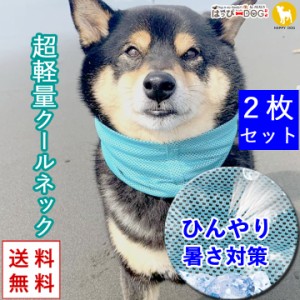 ★熱中症対策ひんやりクールバンダナ★【2枚セット】 ドッグウェア 犬の服 ペット用品 可愛い 犬服 犬 服 クールネック クールスカーフ 