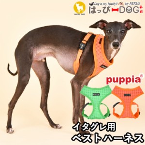 イタグレ 子犬 ハーネス 安い