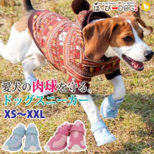 犬 靴 犬靴 犬用靴 ドッグシューズ スニーカー 夏 肉球やけど防止 履かせやすい くつ