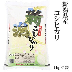 令和5年産 新潟県産コシヒカリ5kg 送料無料(一部地域のぞく)