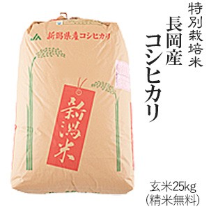 玄米25kg 長岡産コシヒカリ 令和5年産 送料無料(一部地域のぞく) 