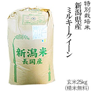 令和5年産 特別栽培米  新潟県産ミルキークイーン 玄米 25kg 送料無料(一部地域を除く)