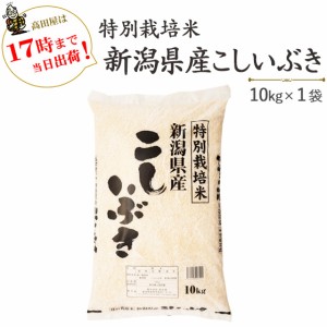 新潟県産こしいぶき 10kg 特別栽培米 令和5年産 送料無料(一部地域のぞく)