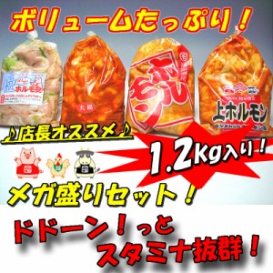 訳あり 人気ホルモン４種盛りセット 1.2kg入り 肉 バーベキュー 送料無料 焼肉 もつ BBQ 牛 豚