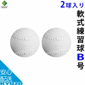 練習球 セット売り 軟式野球ボール 一般 中学生向け 中学校 大人 練習用 練習ボール A球 A号ボール NORTHWAY SPORTS NSB-89B 2個入り 2P