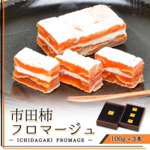 市田柿フロマージュ　100g×3本　/テレビで紹介/がむしゃらグルメ団/南信州特産/おつまみ/ワイン/メディア/おすすめ/スイーツ/ドライフル