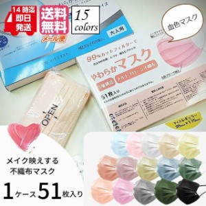 マスク 不織布 カラー 血色マスク ふつう 不織布マスク 51枚 おしゃれ 大人 使い捨て 3層構造 高機能フィルター マスク118 msk50-2 花粉