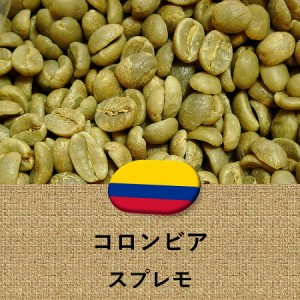 コーヒー豆 コロンビア産 スプレモ 未焙煎 生豆 2lbs 907g