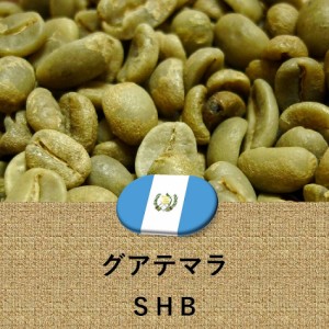 コーヒー豆 グアテマラ産 SHB 未焙煎 生豆 ガテマラ グァテマラ 2lbs 907g
