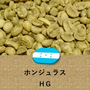 コーヒー豆 ホンジュラス産 HG 未焙煎 生豆 ホンデュラス 2lbs 907g