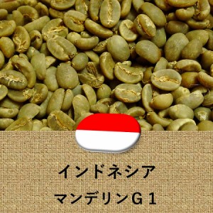 コーヒー豆 インドネシア産 マンデリン G1 未焙煎 生豆 2lbs 907g