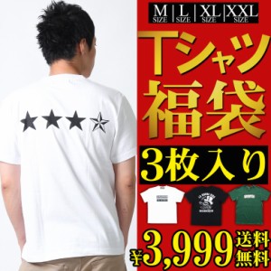 しっかり素材のTシャツ 1枚あたり1,333円 送料無料 Tシャツ メンズ 半袖 3枚セット 男性 プリント ロゴ バックプリント 大きいサイズ xl 